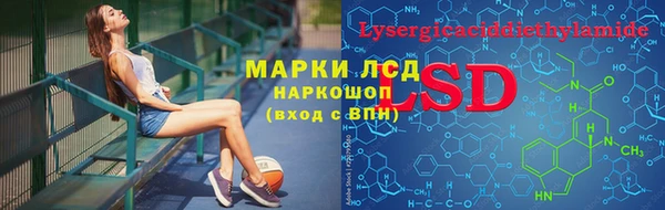 мяу мяу мука Магас