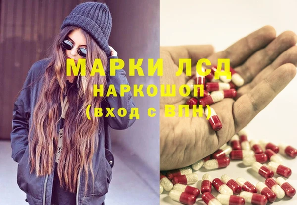 мяу мяу мука Магас