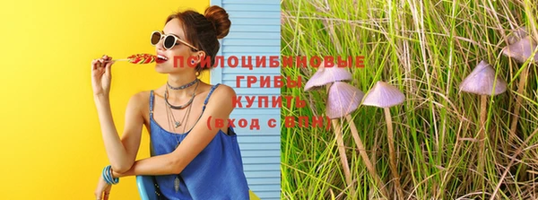 spice Магадан