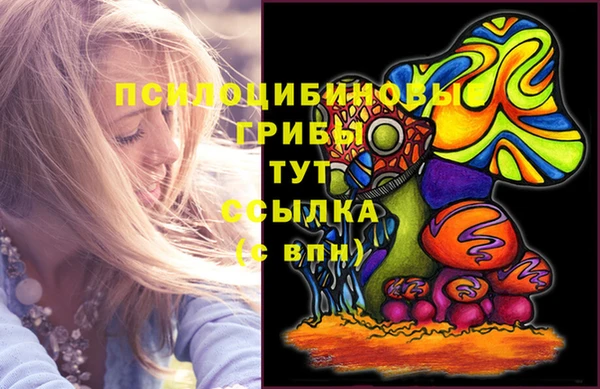 соль ск Мегион