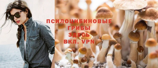 spice Магадан